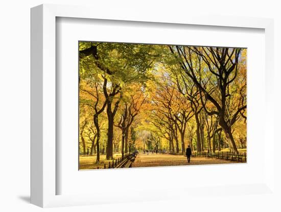 Usa, New York City, Manhattan, Central Park, the Mall-Michele Falzone-Framed Photographic Print