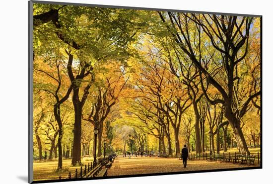 Usa, New York City, Manhattan, Central Park, the Mall-Michele Falzone-Mounted Photographic Print