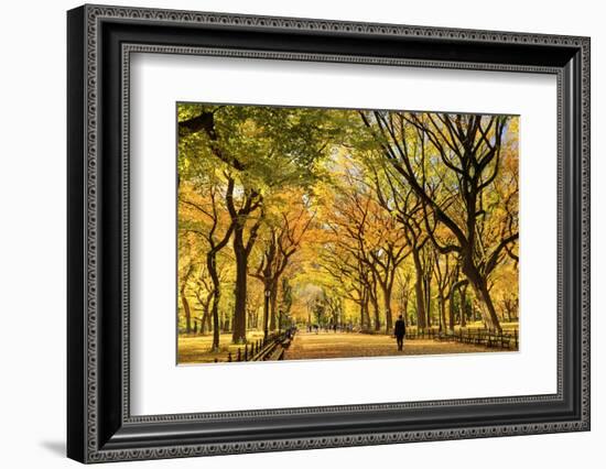 Usa, New York City, Manhattan, Central Park, the Mall-Michele Falzone-Framed Photographic Print