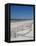 USA, New York, Long Island, the Hamptons, Westhampton Beach, Beach Erosion Fence-Walter Bibikow-Framed Premier Image Canvas