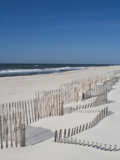 Usa New York Long Island The Hamptons Westhampton Beach Beach Erosion Fence Photographic Print Walter Bibikow Art Com