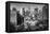 Usa, New York, Manhattan, Lower Manhattan, Chinatown-Alan Copson-Framed Premier Image Canvas