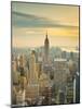 USA, New York, Manhattan, Midtown from Top of the Rock at the Rockefeller Center-Alan Copson-Mounted Photographic Print