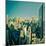 USA, New York, Manhattan, Midtown Skyline Including Empire State Building-Alan Copson-Mounted Photographic Print