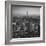 Usa, New York, Manhattan, Top of the Rock Observatory, Midtown Manhattan and Empire State Building-Michele Falzone-Framed Photographic Print