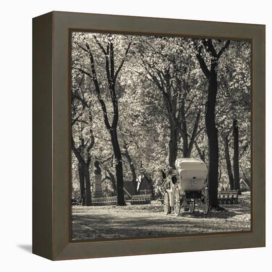 USA, New York, New York City, Central Park, Horse-Drawn Carriage-Walter Bibikow-Framed Premier Image Canvas