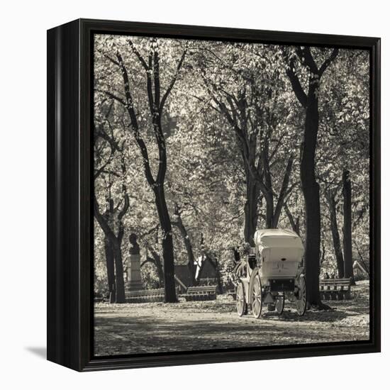 USA, New York, New York City, Central Park, Horse-Drawn Carriage-Walter Bibikow-Framed Premier Image Canvas