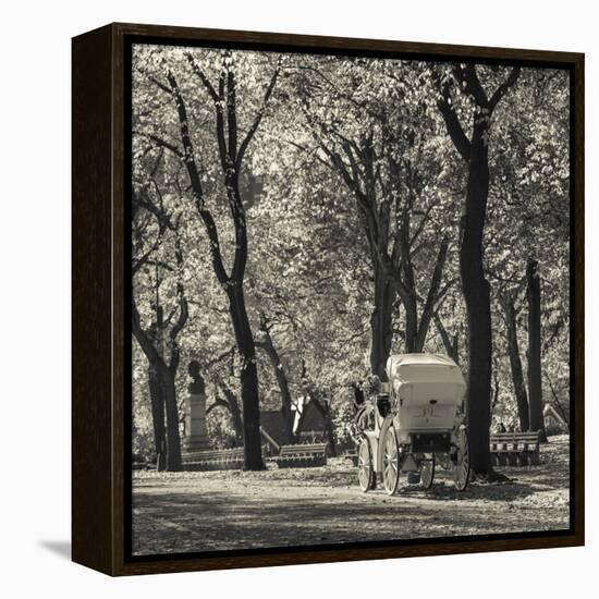 USA, New York, New York City, Central Park, Horse-Drawn Carriage-Walter Bibikow-Framed Premier Image Canvas