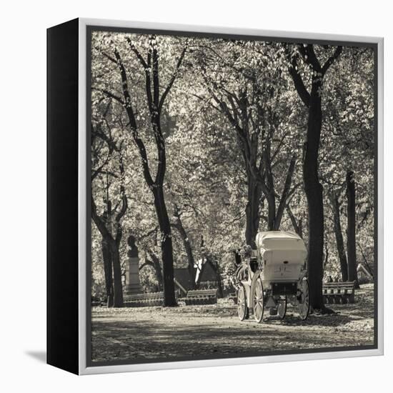 USA, New York, New York City, Central Park, Horse-Drawn Carriage-Walter Bibikow-Framed Premier Image Canvas