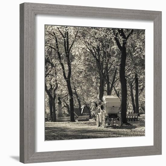 USA, New York, New York City, Central Park, Horse-Drawn Carriage-Walter Bibikow-Framed Photographic Print