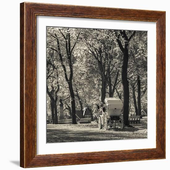 USA, New York, New York City, Central Park, Horse-Drawn Carriage-Walter Bibikow-Framed Photographic Print
