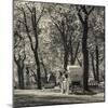 USA, New York, New York City, Central Park, Horse-Drawn Carriage-Walter Bibikow-Mounted Photographic Print