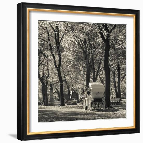 USA, New York, New York City, Central Park, Horse-Drawn Carriage-Walter Bibikow-Framed Photographic Print