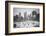 USA, New York, New York City, Skaters at the Wollman Rink-Walter Bibikow-Framed Photographic Print