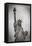 Usa, New York, New York City, Statue of Liberty National Monument-Michele Falzone-Framed Premier Image Canvas