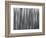 USA, New York State. Abstract reflection of winter trees.-Chris Murray-Framed Photographic Print