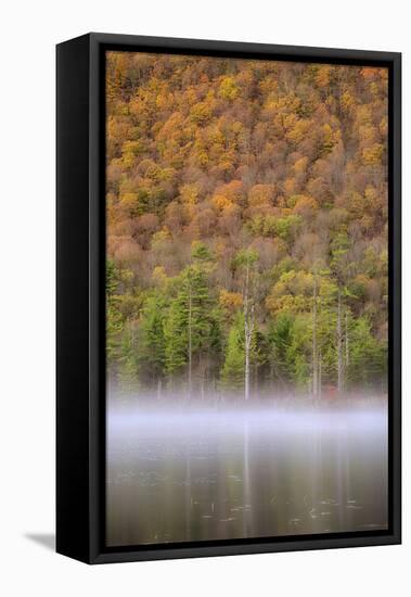 USA, New York State. Autumn foliage and mist on Labrador Pond.-Chris Murray-Framed Premier Image Canvas