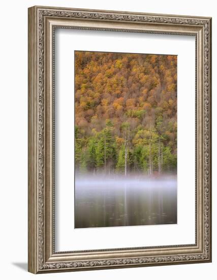 USA, New York State. Autumn foliage and mist on Labrador Pond.-Chris Murray-Framed Photographic Print