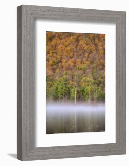 USA, New York State. Autumn foliage and mist on Labrador Pond.-Chris Murray-Framed Photographic Print