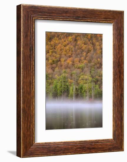 USA, New York State. Autumn foliage and mist on Labrador Pond.-Chris Murray-Framed Photographic Print