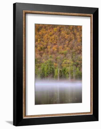 USA, New York State. Autumn foliage and mist on Labrador Pond.-Chris Murray-Framed Photographic Print