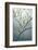 USA, New York State. Beech tree in spring.-Chris Murray-Framed Photographic Print