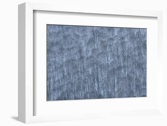 USA, New York State. Hillside of winter trees.-Chris Murray-Framed Photographic Print