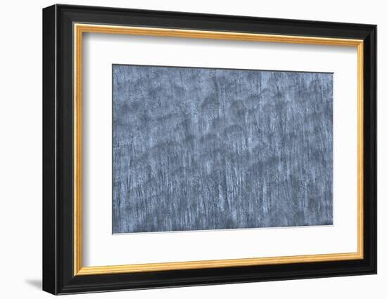 USA, New York State. Hillside of winter trees.-Chris Murray-Framed Photographic Print