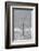 USA, New York State. Lone winter tree.-Chris Murray-Framed Photographic Print