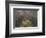 USA, New York State. Spring blooming trees, Labrador Hollow Unique Area-Chris Murray-Framed Photographic Print