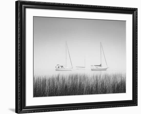 USA, New York State. Three sailboats, St. Lawrence River, Thousand Islands.-Chris Murray-Framed Photographic Print