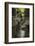 USA, New York. Waterfalls along the Gorge Trail, Watkins Glen State Park.-Alan Majchrowicz-Framed Photographic Print