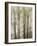 USA, North Carolina, Blue Ridge Parkway, Abstract of Trees Created by Moving Camera-Ann Collins-Framed Photographic Print