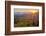 USA, North Carolina, Blue Ridge Parkway. Autumn sunset from Beacon Heights-Ann Collins-Framed Photographic Print