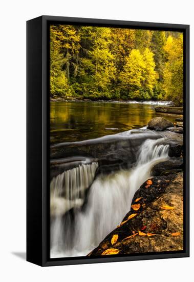 USA, North Carolina, Brevard. Landscape in Pisgah National Forest-Jaynes Gallery-Framed Premier Image Canvas