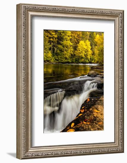 USA, North Carolina, Brevard. Landscape in Pisgah National Forest-Jaynes Gallery-Framed Photographic Print