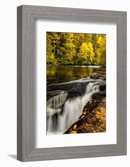 USA, North Carolina, Brevard. Landscape in Pisgah National Forest-Jaynes Gallery-Framed Photographic Print