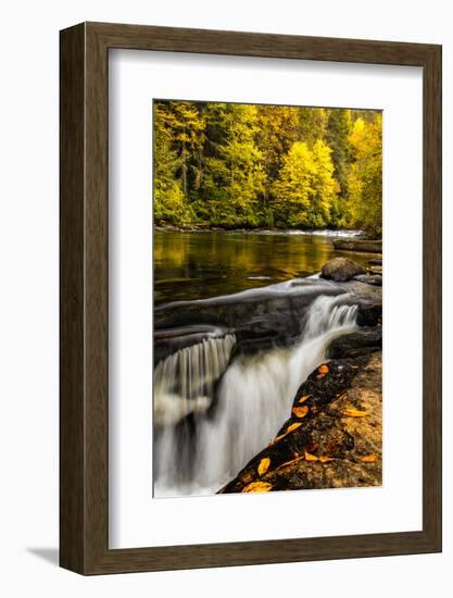 USA, North Carolina, Brevard. Landscape in Pisgah National Forest-Jaynes Gallery-Framed Photographic Print