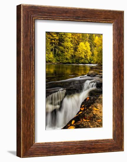 USA, North Carolina, Brevard. Landscape in Pisgah National Forest-Jaynes Gallery-Framed Photographic Print