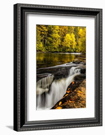 USA, North Carolina, Brevard. Landscape in Pisgah National Forest-Jaynes Gallery-Framed Photographic Print