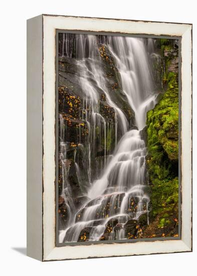 USA, North Carolina, Brevard. Waterfall in Dupont State Forest-Jaynes Gallery-Framed Premier Image Canvas