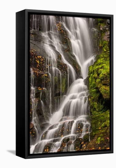 USA, North Carolina, Brevard. Waterfall in Dupont State Forest-Jaynes Gallery-Framed Premier Image Canvas