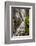 USA, North Carolina, Brevard. Waterfall in Dupont State Forest-Jaynes Gallery-Framed Photographic Print