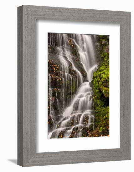 USA, North Carolina, Brevard. Waterfall in Dupont State Forest-Jaynes Gallery-Framed Photographic Print