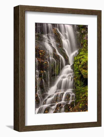 USA, North Carolina, Brevard. Waterfall in Dupont State Forest-Jaynes Gallery-Framed Photographic Print