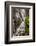 USA, North Carolina, Brevard. Waterfall in Dupont State Forest-Jaynes Gallery-Framed Photographic Print