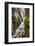 USA, North Carolina, Brevard. Waterfall in Dupont State Forest-Jaynes Gallery-Framed Photographic Print