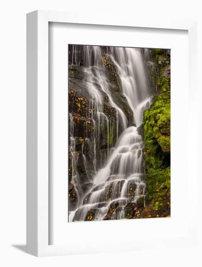 USA, North Carolina, Brevard. Waterfall in Dupont State Forest-Jaynes Gallery-Framed Photographic Print