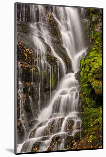 USA, North Carolina, Brevard. Waterfall in Dupont State Forest-Jaynes Gallery-Mounted Photographic Print