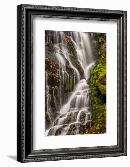 USA, North Carolina, Brevard. Waterfall in Dupont State Forest-Jaynes Gallery-Framed Photographic Print